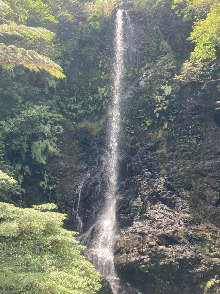 加計呂麻島の嘉入の滝。緑に囲まれた崖を一筋に落ちる滝