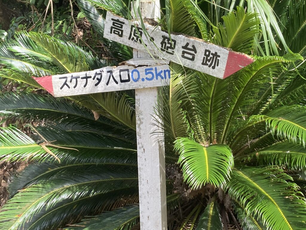 与路島の山道に立つ「高原・砲台跡」と書かれた手書きの道標。ソテツの緑に囲まれている