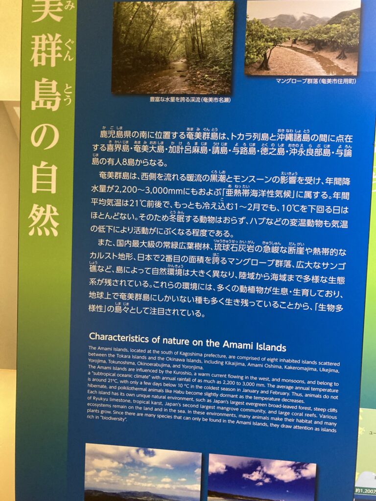 奄美博物館の展示パネル「奄美群島の自然」。マングローブや海の写真つき