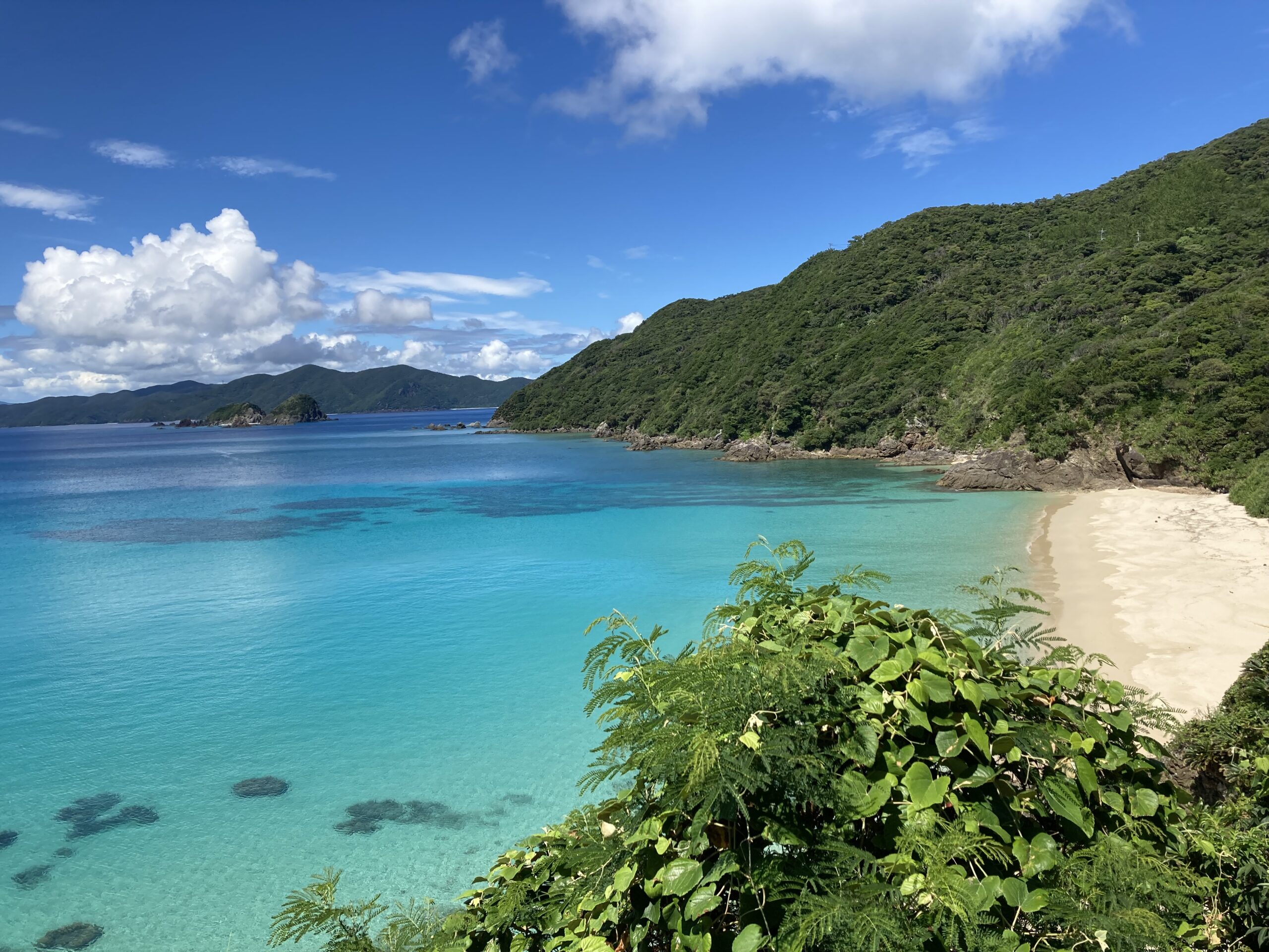 島旅