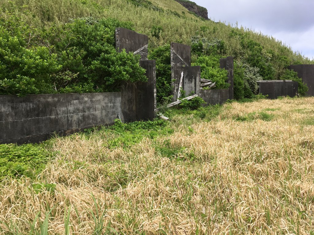 草に埋もれた家の石垣。集団離島から半世紀の暮らしの跡