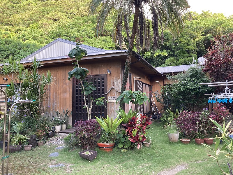請島の民宿みなみの外観。ヤシの木と植物に囲まれた木造の建物