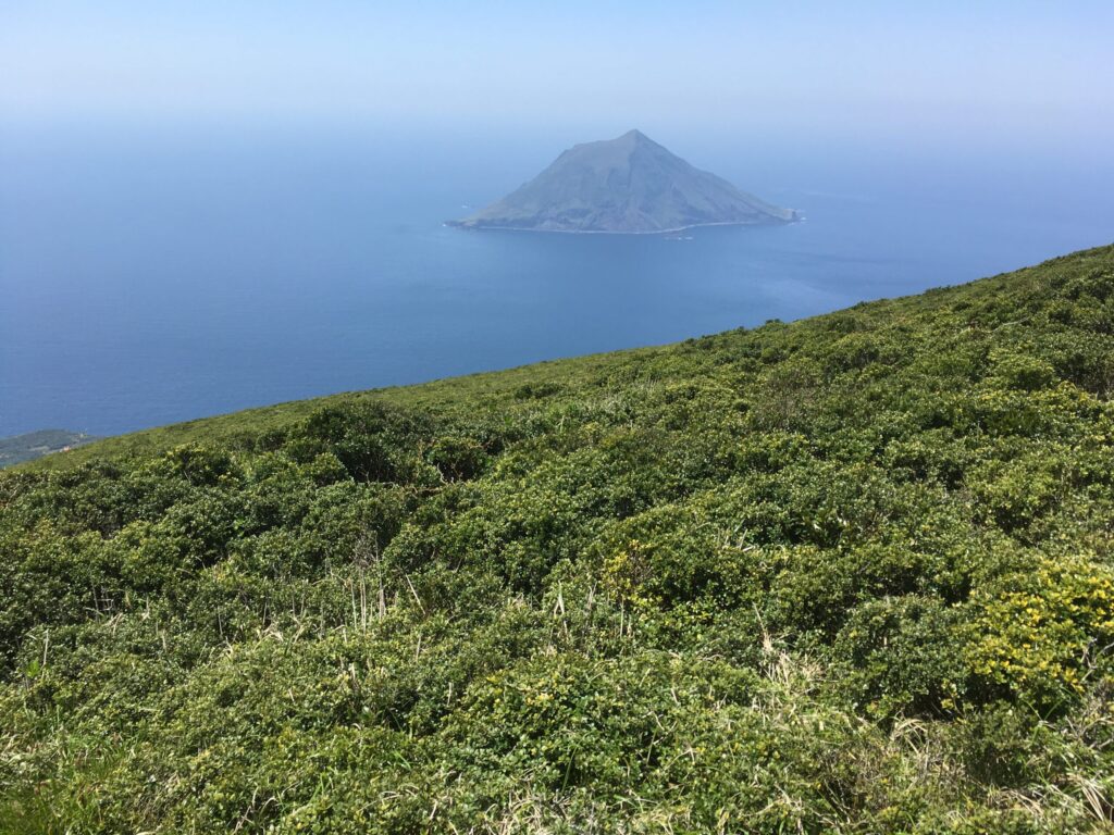 八丈富士の登山道から見た八丈小島と海