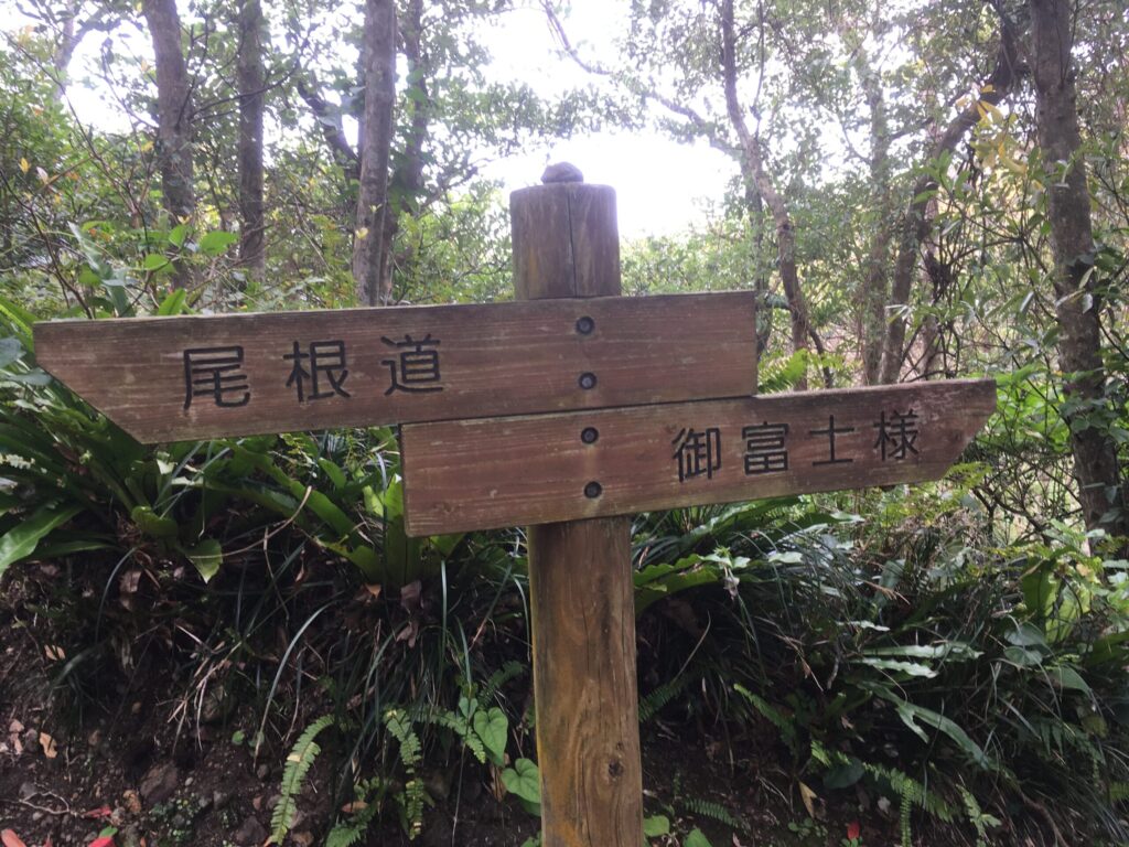 尾根道と御富士様を示す道標