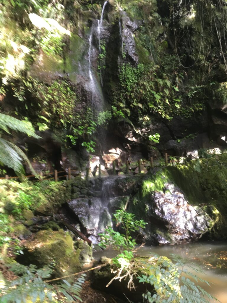 緑に囲まれた裏見ヶ滝の水しぶき