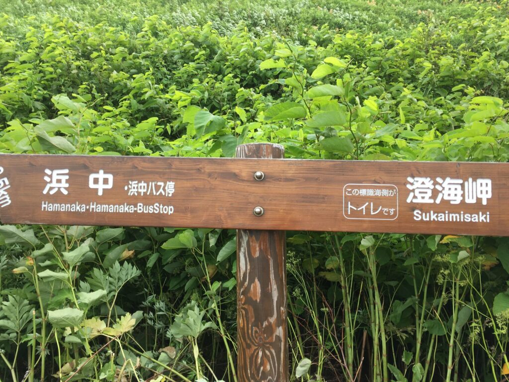 「浜中バス停」と「澄海岬」への分岐を示す道標