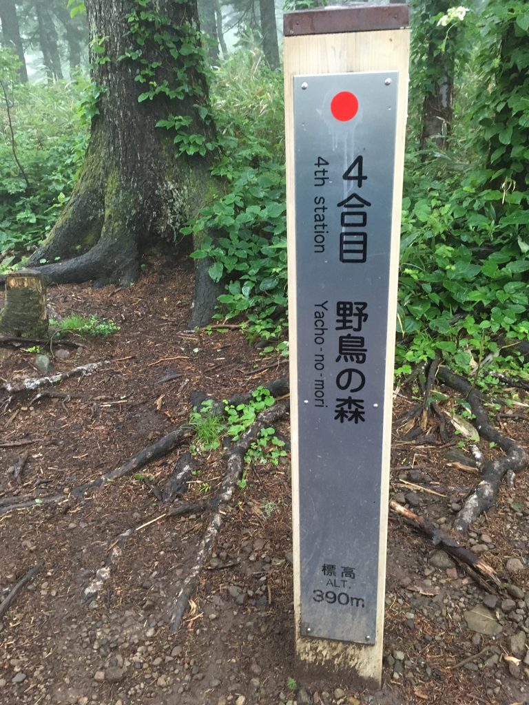 利尻山4合目・野鳥の森の標識