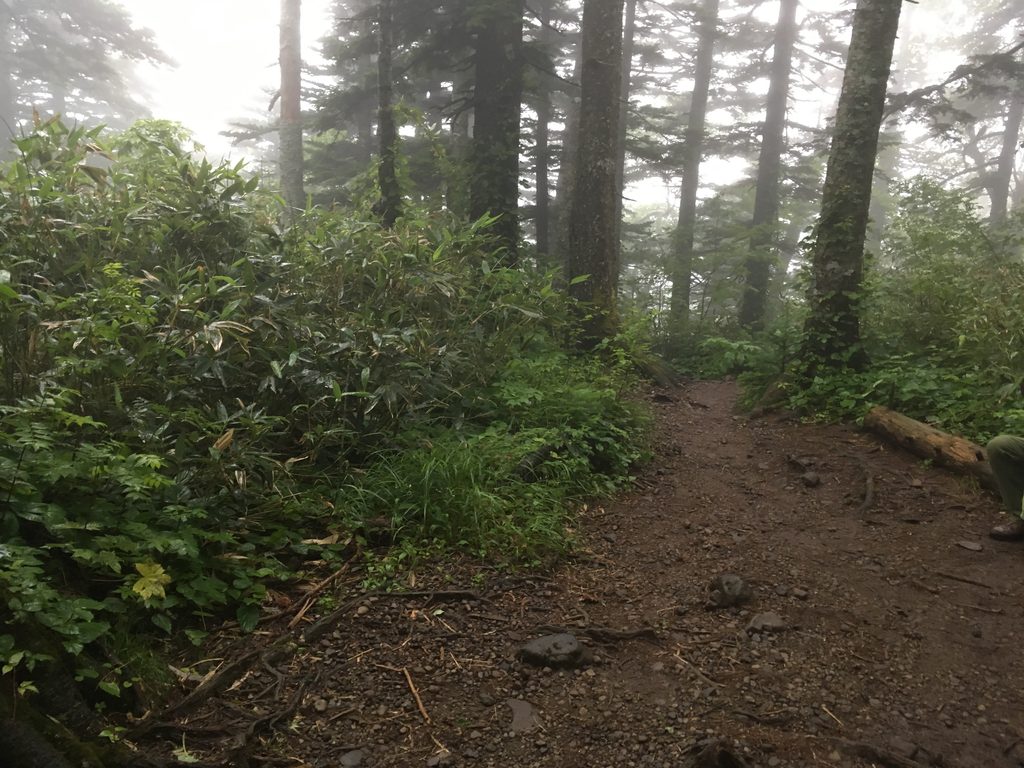 霧に包まれた利尻山の登山道