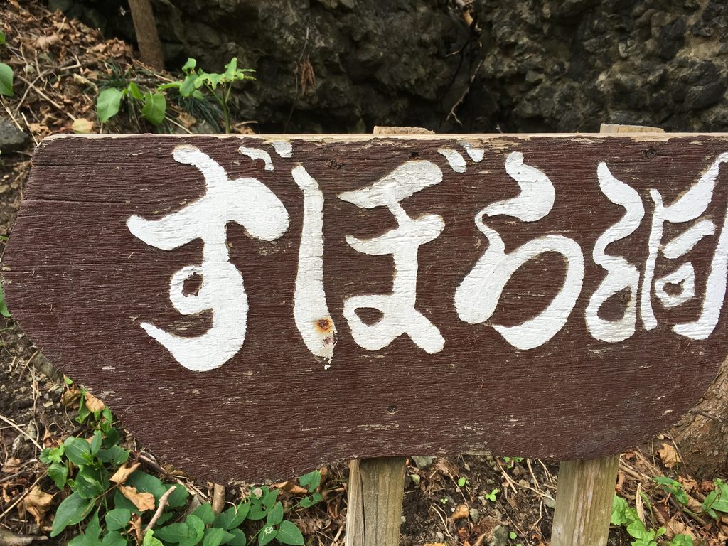 「ずぼら洞」の木の看板|奥尻島の西海岸