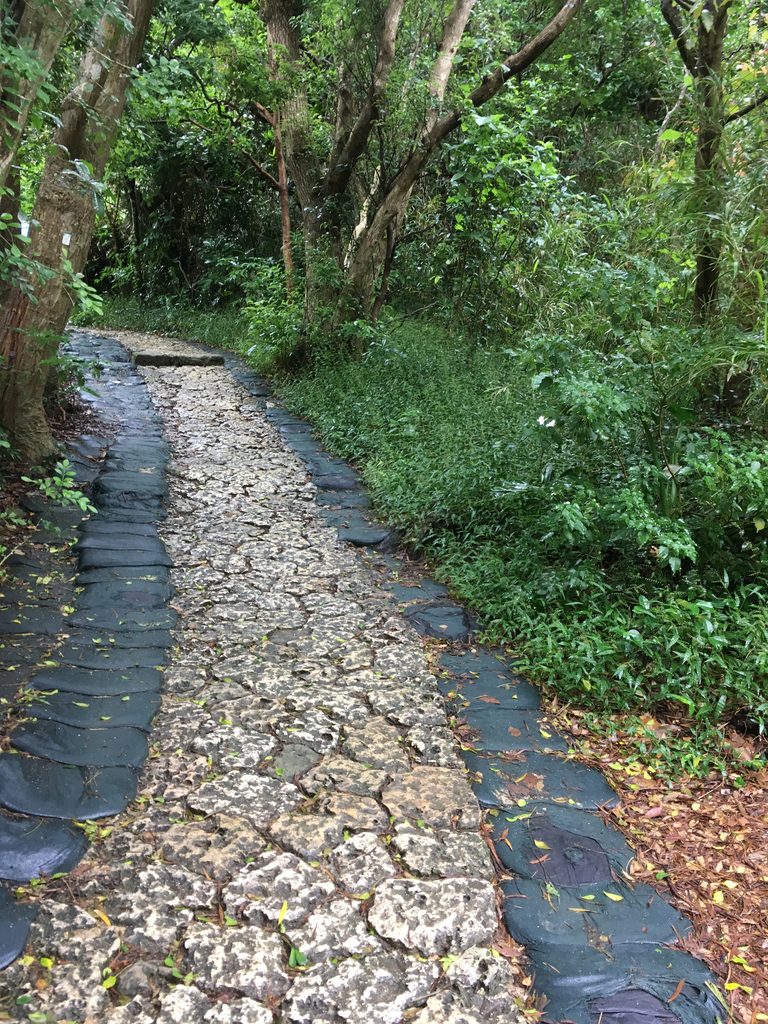 斎場御嶽の森の中につづく石畳の参道