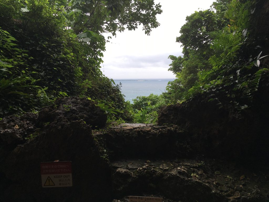 斎場御嶽の木々のあいだから見える海